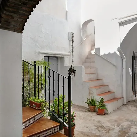 Pura Vida Vejer Daire